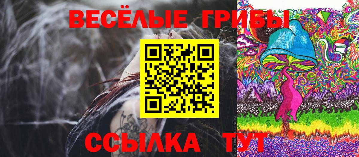 Псилоцибиновые грибы прущие грибы  Вход с VPN  Сарапул  Галлюциногенные грибы мицелий 